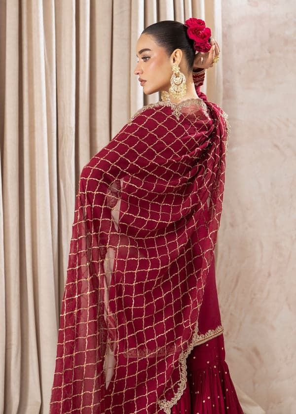 red fuchsia gharara