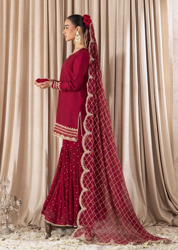 red fuchsia gharara