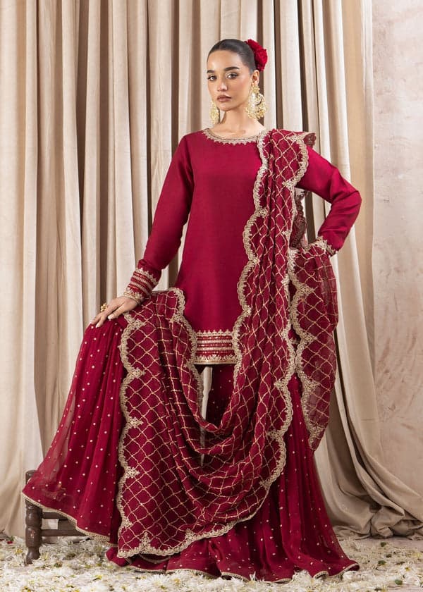 red fuchsia gharara